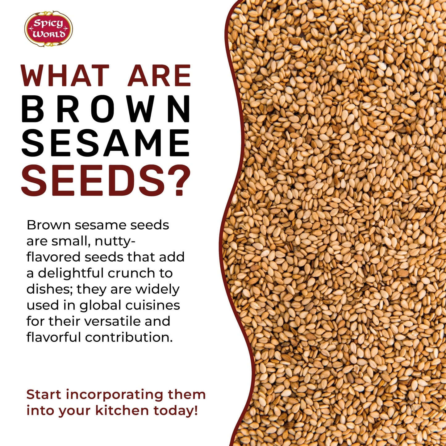Spicy World Natural Brown Sesame Seeds 3 LB (48oz) - Non-GMO, Vegan, Raw, Unroasted, Unsalted, Plant-Based Protein, Source of Fiber & Iron, Ideal for Topping, Cooking & Baking