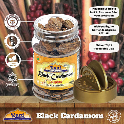 Rani Black Cardamom Pods (Kali Elachi) Whole Indian Spice 1.75oz (50g) PET Jar ~ All Natural | Vegan | Gluten Friendly | Non-GMO | Kosher | Indian Origin ~ Smokey | Tsaoko | Cao Guo | Bach Dan Khau