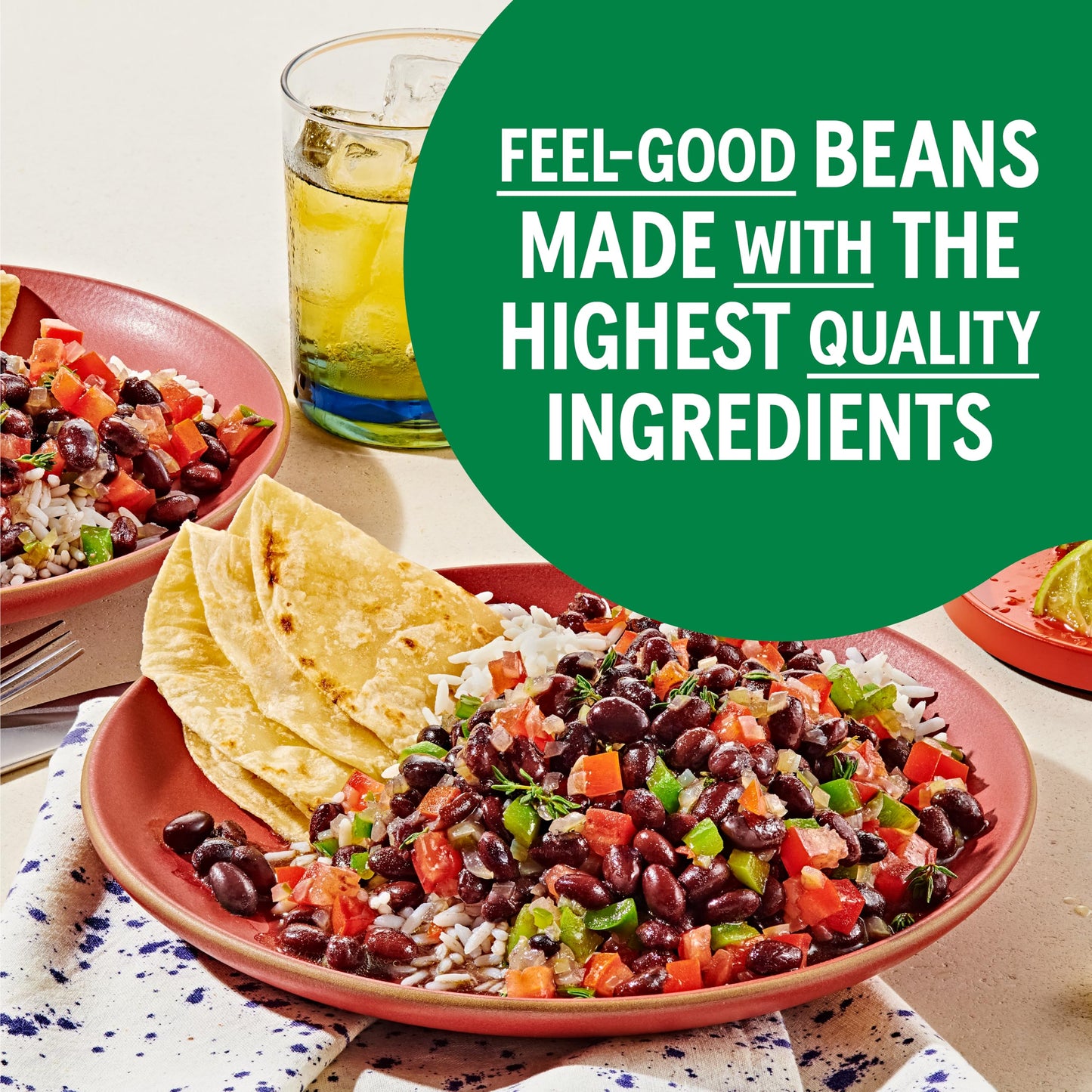 BUSH'S BEST 15 oz Canned Organic Black Beans, Source of Plant Based Protein and Fiber, Low Fat, Gluten Free, (Pack of 12)