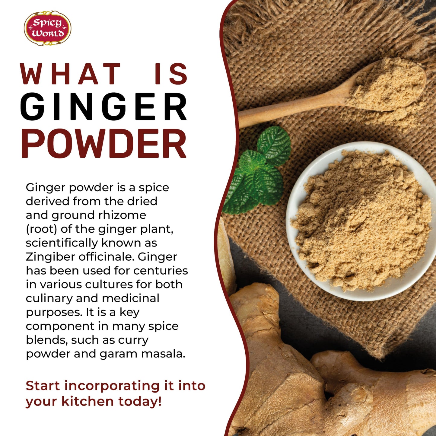 Spicy World Ginger Powder 5 Pound Bulk Bag - Ground Ginger Root