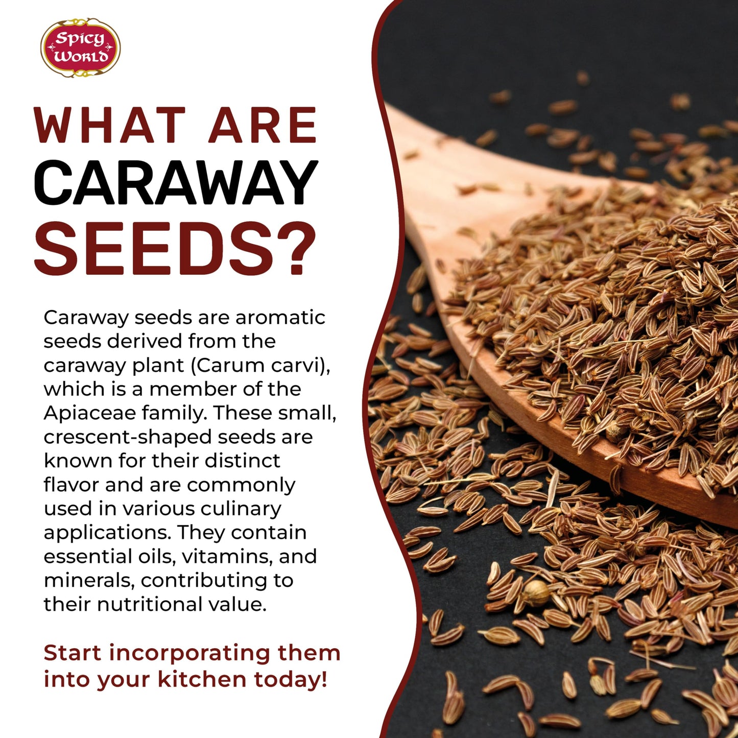Spicy World Caraway Seeds 5 Pound Bulk Bag