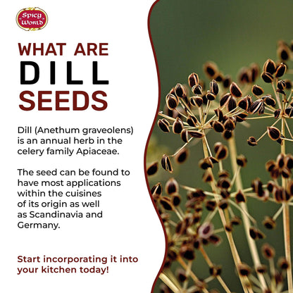 Dill Seeds 5 Pounds Bulk (Suva)