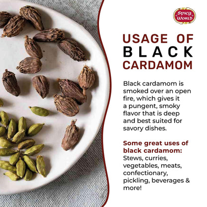 Black Cardamom Pods 3.5 Oz Bag (100gm) | Whole Kali Elaichi Indian Spice by Spicy World