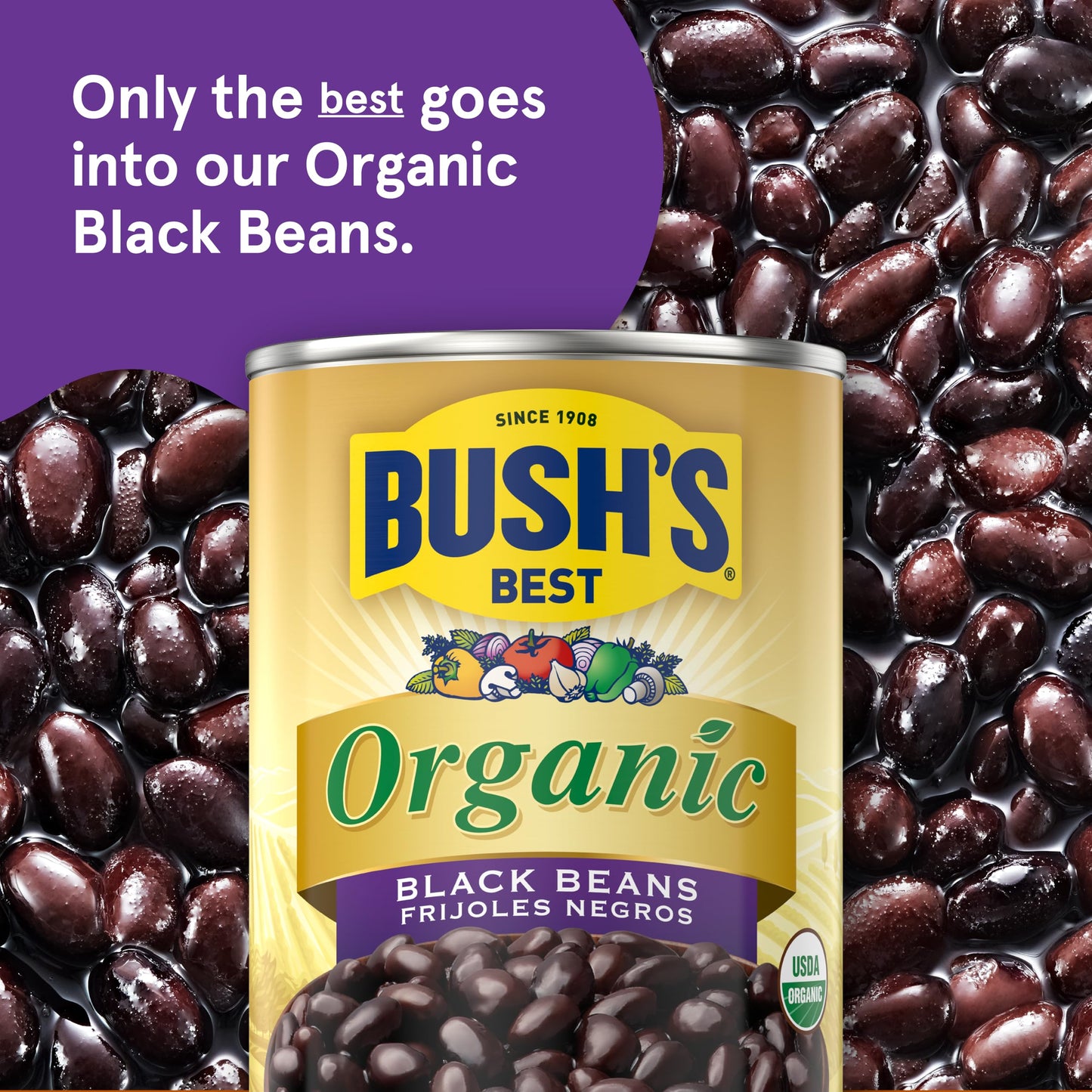 BUSH'S BEST 15 oz Canned Organic Black Beans, Source of Plant Based Protein and Fiber, Low Fat, Gluten Free, (Pack of 12)
